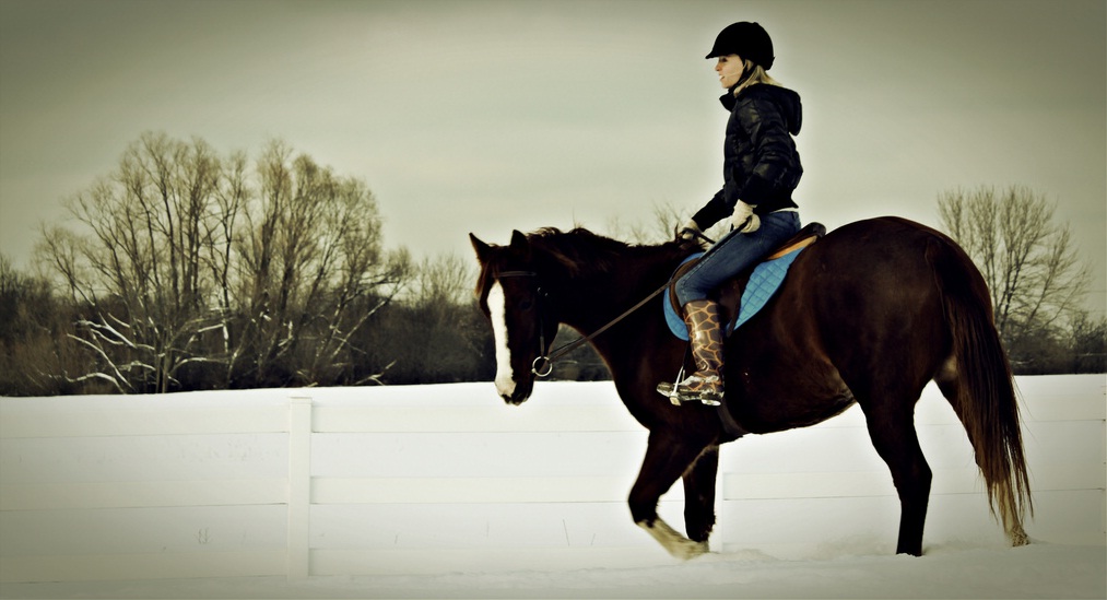 Tips on How To Improve your Riding Seat