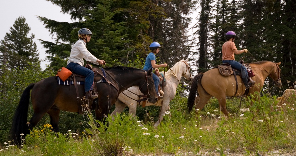 How to Stay on the Trail